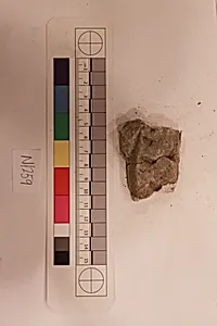 Stucco Fragment