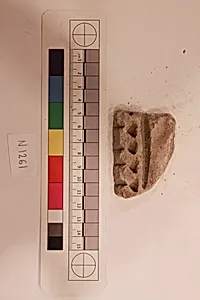 Stucco Fragment