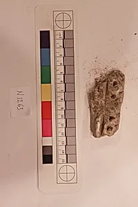 Stucco Fragment