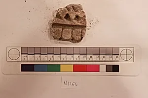 Stucco Fragment