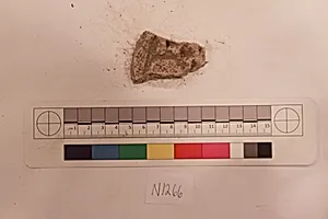 Stucco Fragment
