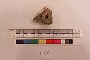 Stucco Fragment