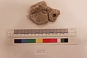 Stucco Fragment