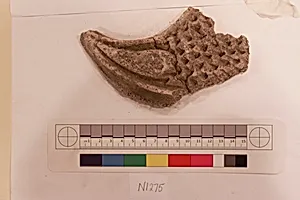 Stucco Fragment