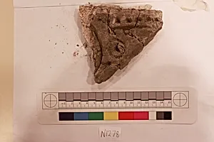 Stucco Fragment
