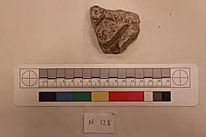 Stucco Fragment