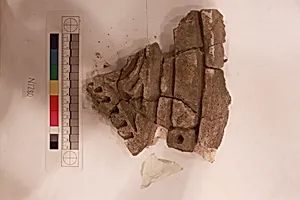 Stucco Fragment