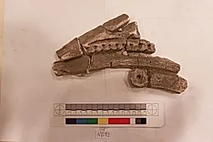 Stucco Fragment