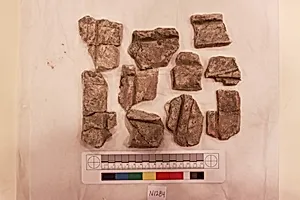 Stucco Fragment