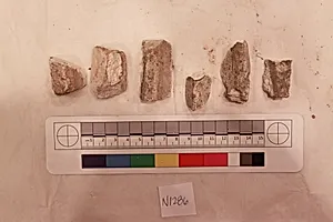 Stucco Fragment by Unknown Artist