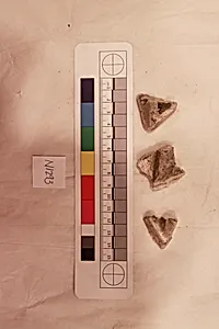 Stucco Fragment