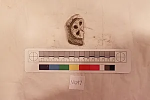 Stucco Fragment
