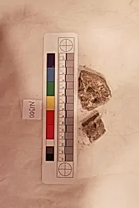 Stucco Fragment