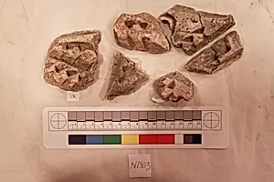 Stucco Fragment