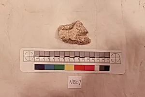 Stucco Fragment