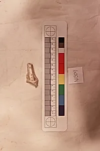 Stucco Fragment