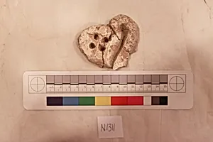 Stucco Fragment