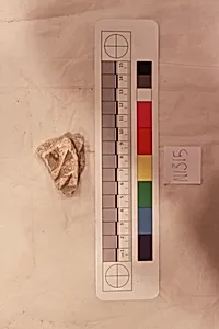 Stucco Fragment