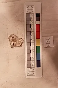 Stucco Fragment