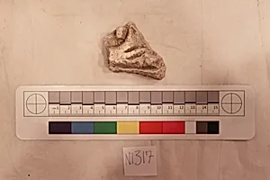 Stucco Fragment