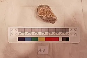 Stucco Fragment
