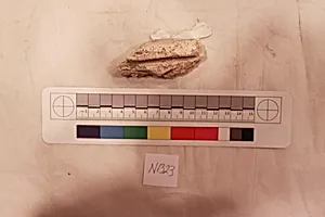 Stucco Fragment
