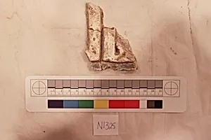 Stucco Fragment