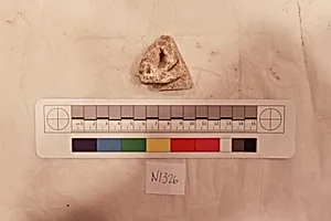 Stucco Fragment