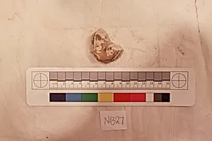 Stucco Fragment by Unknown Artist