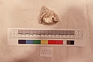 Stucco Fragment