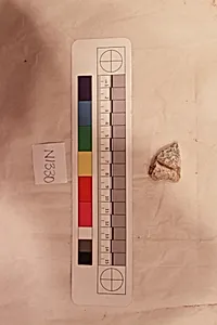 Stucco Fragment