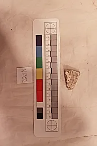 Stucco Fragment