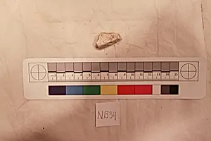 Stucco Fragment