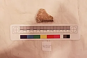 Stucco Fragment