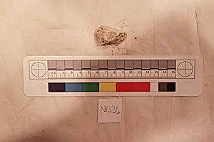 Stucco Fragment