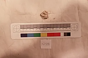 Stucco Fragment
