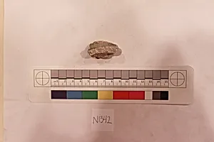 Stucco Fragment