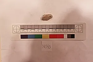 Stucco Fragment