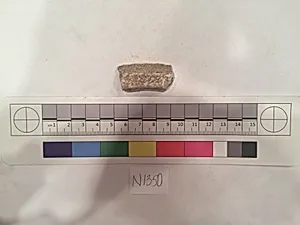 Stucco Fragment