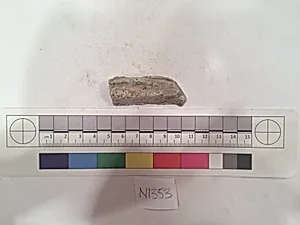 Stucco Fragment