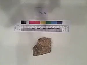 Stucco Fragment