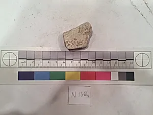 Stucco Fragment