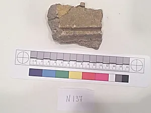 Stucco Fragment