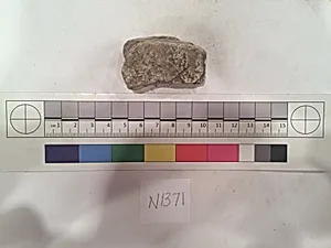 Stucco Fragment