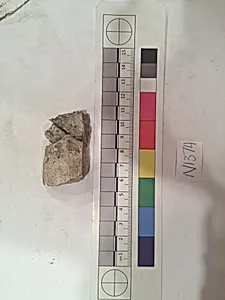 Stucco Fragment