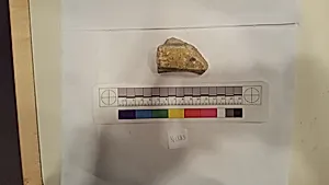 Stucco Fragment by Unknown Artist