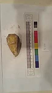 Stucco Fragment