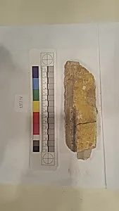 Stucco Fragment