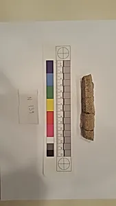 Stucco Fragment