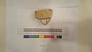 Stucco Fragment